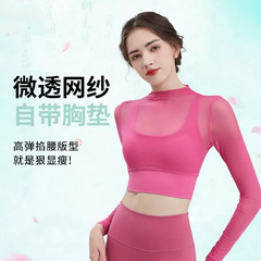 伊泽尔春秋长袖跑步网纱高级感紧身专业健身瑜伽服运动带胸垫上衣