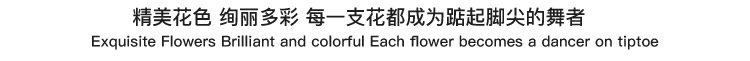 详情_07.jpg