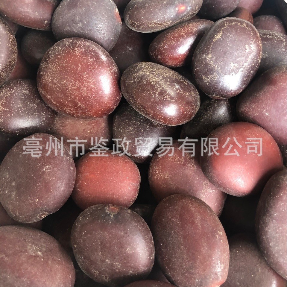 Mu Yao Zi Dried Entada Seeds 500g Bulk Traditional Herbal Ingredient quality and texture