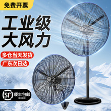 ���I��L�ȏ�������ȴ���ţ���ȴ��L������ȩ���S�u�^�ڒ��L��