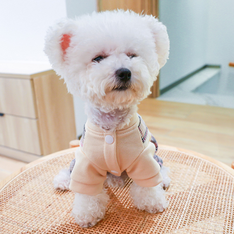 白ボタンダウンパンツ-ピンク