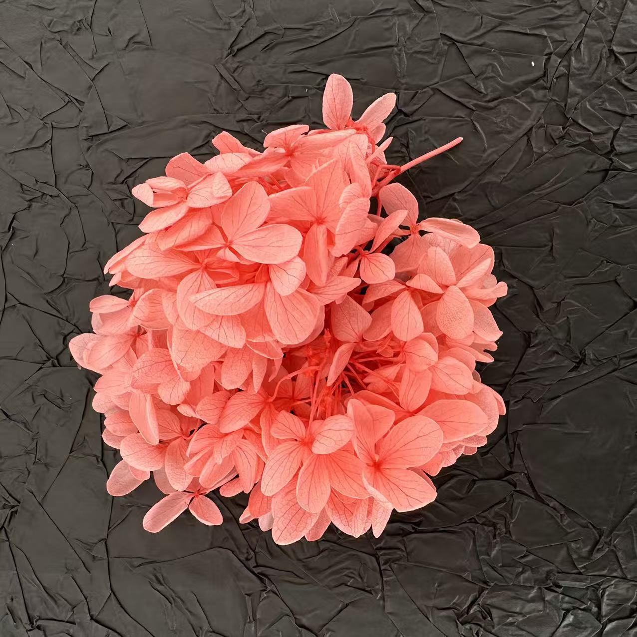 Hortensia en bois rose pêche / 5G en boîte