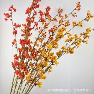 ��������ʽ��c�b������ټٻ�����ӭ���� �Ӱ巿�����ٽ���