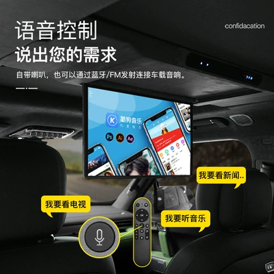 Ceiling Modification Parts, Car TV