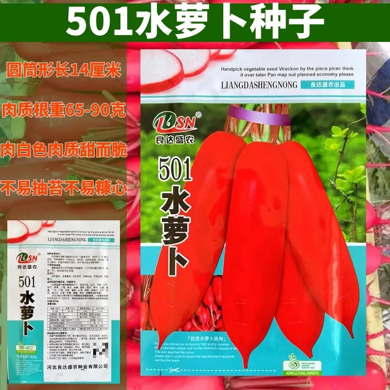 501水萝卜蔬菜种子庭院阳台农家盆栽原装四季播种香菜番茄辣椒水