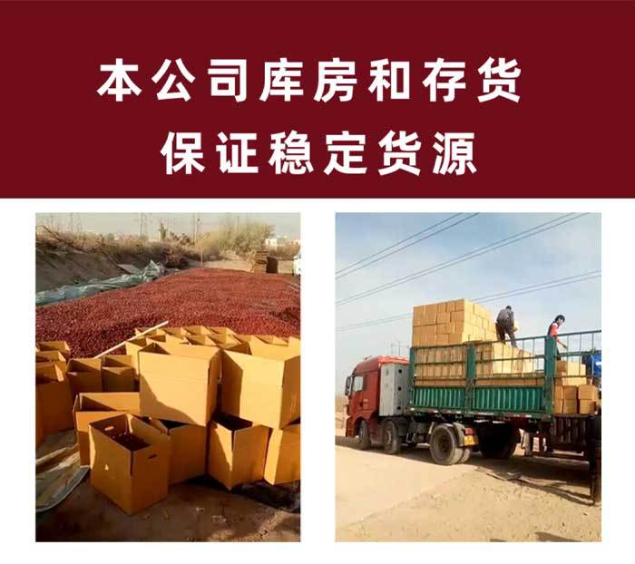 头部--山西骏枣