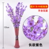Long, purple