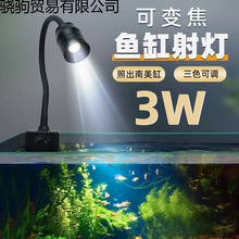 ׃ɫr~~쾰ˮ~ןledԭןS