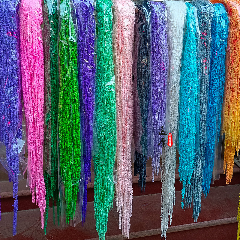 Hanging rice dried flower eternal flower preserved flower wall hanging rose lover tears hotel wedding floral home decoration