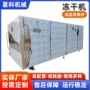 商用脱水冻干低温干燥机