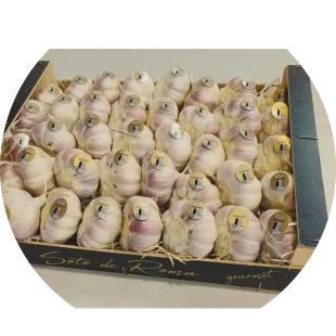 �΂�4�^5�^С���bԭ�a��ֱ�l�s������t��С�W���b���r���r����