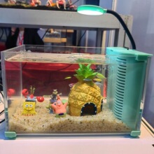 鱼缸底沙南美砂雨林沙水晶砂尼罗河砂金刚黑水草砂溪流砂天然彩砂
