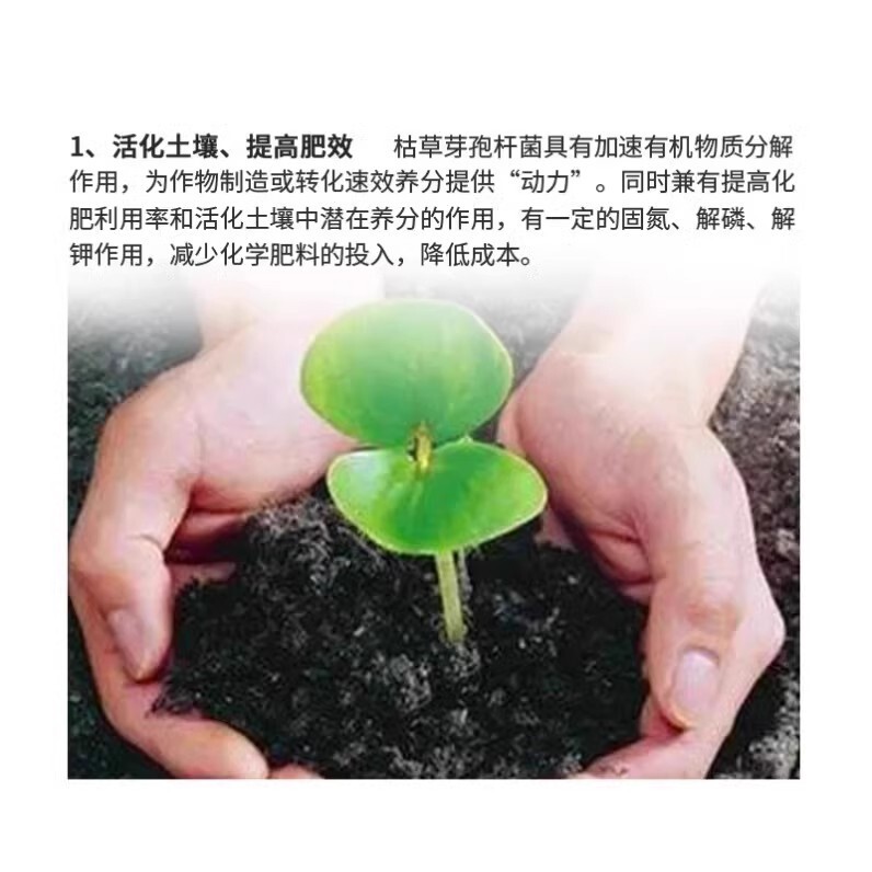 枯草菌、根腐れ、白粉病、青枯病、灰黒病、錆病、土壌伝染病の予防と管理|undefined
