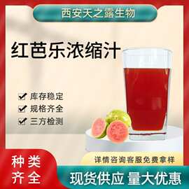 番石榴浓缩汁60-63BX 红心芭乐浓缩汁 芭乐清汁 饮料果酒果汁原料
