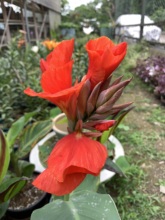 �tɫ���˽����@���Զ������ݱ�ֲ��