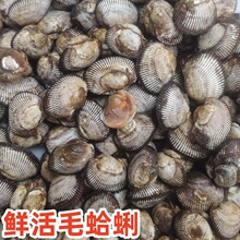 ���r�����r��ë���۬F���F�l����ë��Ѫ���r��С���rؐ�ˮ�a���l