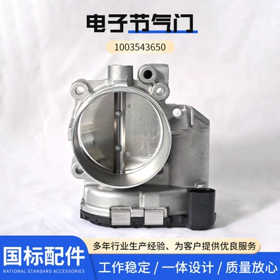 Drossel natural gas engine heavy