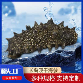 长岛淡干海参现货加工干海参散货可装礼盒肉质饱满口感劲道 海参