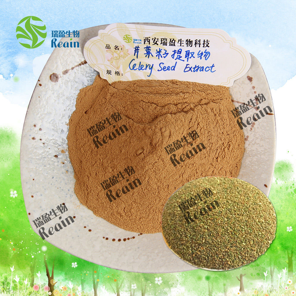 Ruiying Celery Seed Extract 10:1 Specification Supply Quality Guaranteed 1kg