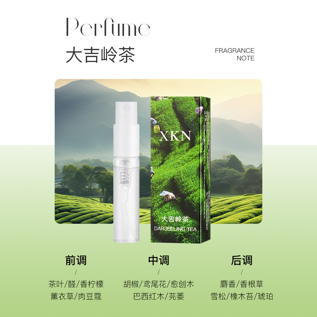 3ML-다르질링 차