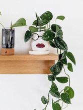 ���~С�~�y�߸��~�G�}���Ժ��B�k���҃�����Gֲ���L�ٴ���ˮ��