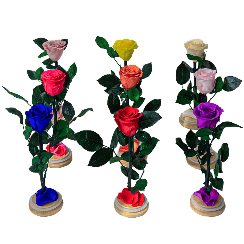 Flor inmortal Little Prince Star Sea Watchman una sola rama de rosa cubierta de vidrio Amazon Día de San Valentín Regalo del Día de la Madre