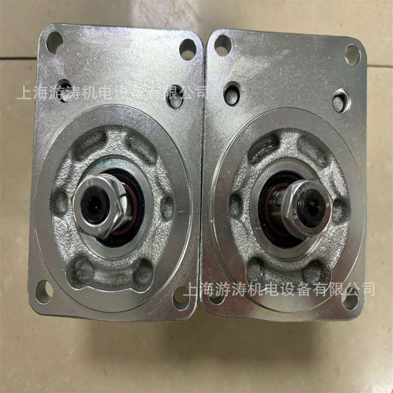 齿轮泵大量现货供应AZPF-10-005RCB20MB上海游涛特价