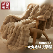 �q�p���ýqë̺ɺ���q̺����˯�k����ɳ�l�w̺�Ӻ�q��������