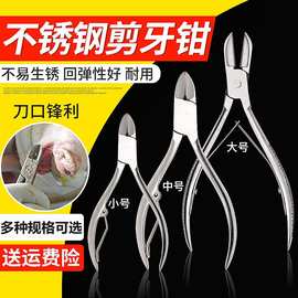 不锈钢剪牙钳大号直头弯头猪用剪牙仔猪修牙钳断牙钳养殖养猪设备