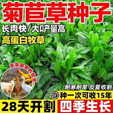 ���ķN�Ѵ��~�������ͺ��ͺ��iţ�~�u���Z�۳Ե��Bֳ�ļ����ݷN��