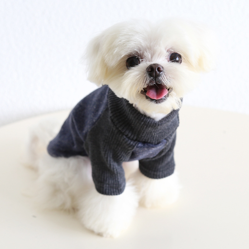 Petstyle 小高领满天星毛衣 2025秋冬新款 狗猫咪服装宠物狗衣服|undefined