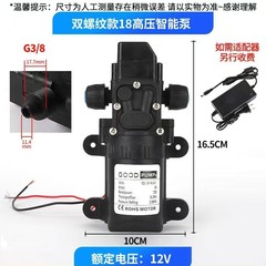 多目的12Vダイヤフラムポンプ、高出力洗車機ウォーターポンプ、ポータブル洗浄洗車ツール、卸売加圧ポンプ