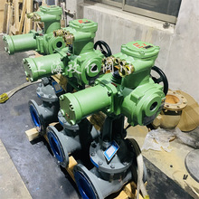 �V�ø����汾�����y�T늄��b��һ�wʽ늄��l�y ZJ941H-25 DN100