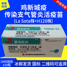哈药鸡疫苗新支二联H120株鸡新城疫鸡支气管炎鸡瘟疫苗一盒多盒价