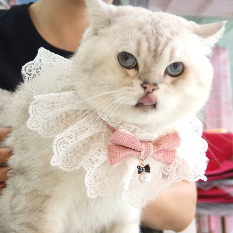 Декоративный кружевной ошейник-бант ручной работы для кошек и собак