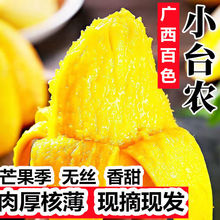 广西百色小台农芒果(单果50-150g)3/5/10斤新鲜水果