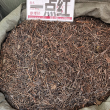 ���l�в�ș �V��һ�c�t �~�¼t ����� ɽ��� ��؛