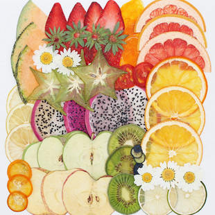 Orange Strawberry Specimen Wholesale Real Fruit Handmade Sliced Kiwi Lemon Drop Glue Mobile Phone Case Jewelry Material Bag
