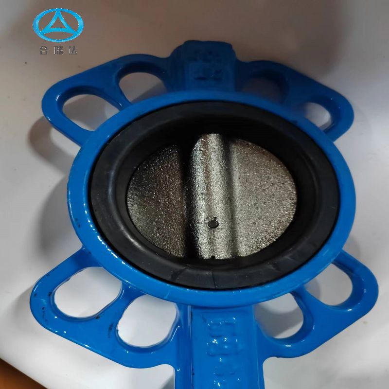 8孔对夹式蝶阀2