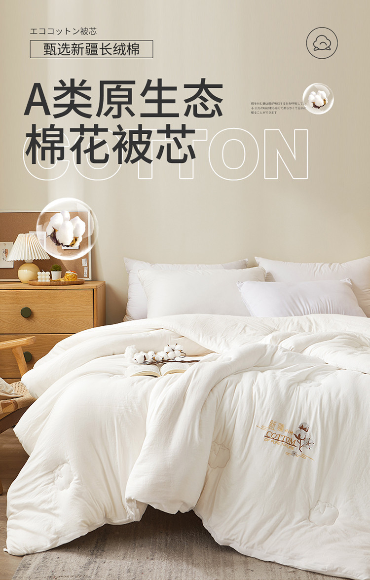 迹添雅 100%棉花被子亲肤水洗棉冬被芯春秋被