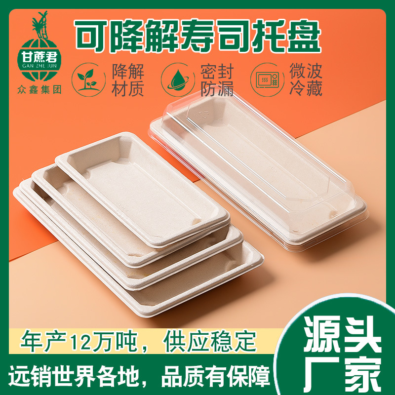 Disposable Sugarcane Pulp Sushi Tray – Compostable Various Models Fruit Platter