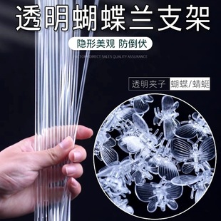 Orchid Plant Fixed Rod Bracket Tube Flower Anti-fall Insert Rod Shape Climbing Rack Phalaenopsis Transparent Bracket Rod