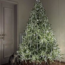 ʥ�������ÿ����ڼ�����ʥ����2024�¿�ʥ����װ�γ������÷�Χ��