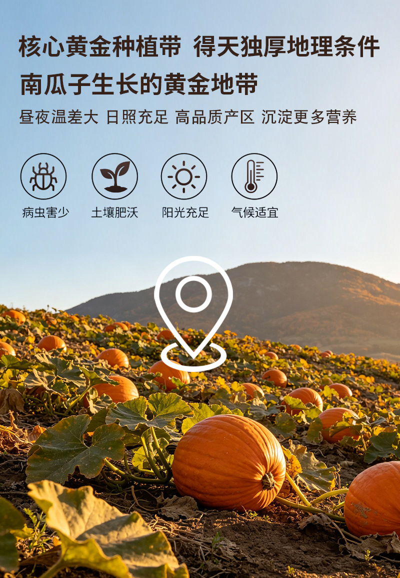 Roasted Pumpkin Seed Kernels Nan Gua Zi Ren 500g Bulk Baking Ingredient preparation