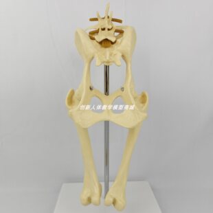 ���y��ϥ�P������ģ��Ȯ��Ǽ���߄���ǽ��ʫF�t��ʾ�����tԺ