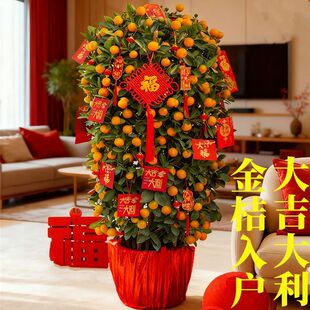 �����ļ������Ԏ��������҃������_�I���w��ۿ͏d�辰��ؔ�Gֲ