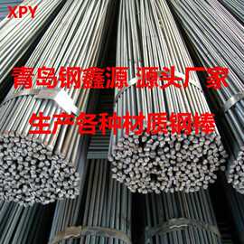 钢筋HPB235/HPB300 HRB335螺纹钢筋 建筑构件必用钢材 9m厂家直供