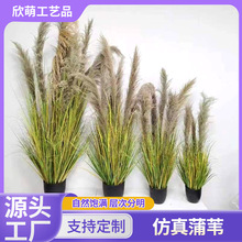 ������Ȕ���Ի�c�W�t�҃Ȕ[�����߼Ҿ��b�Ʒ���湷β���쾰�b�