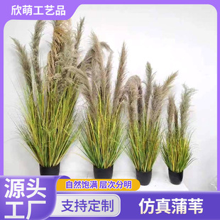 ������Ȕ���Ի�c�W�t�҃Ȕ[�����߼Ҿ��b�Ʒ���湷β���쾰�b�