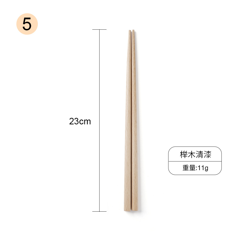 5호 너도밤나무 23cm